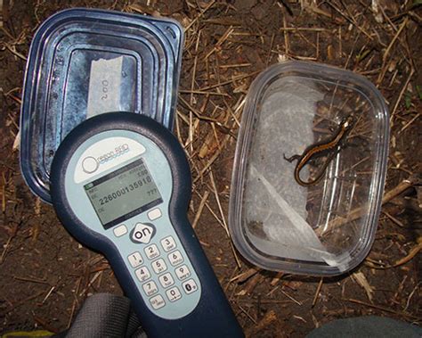 oleego rfid scanner|Fish and Wildlife Tracking PIT Tags and PIT Readers .